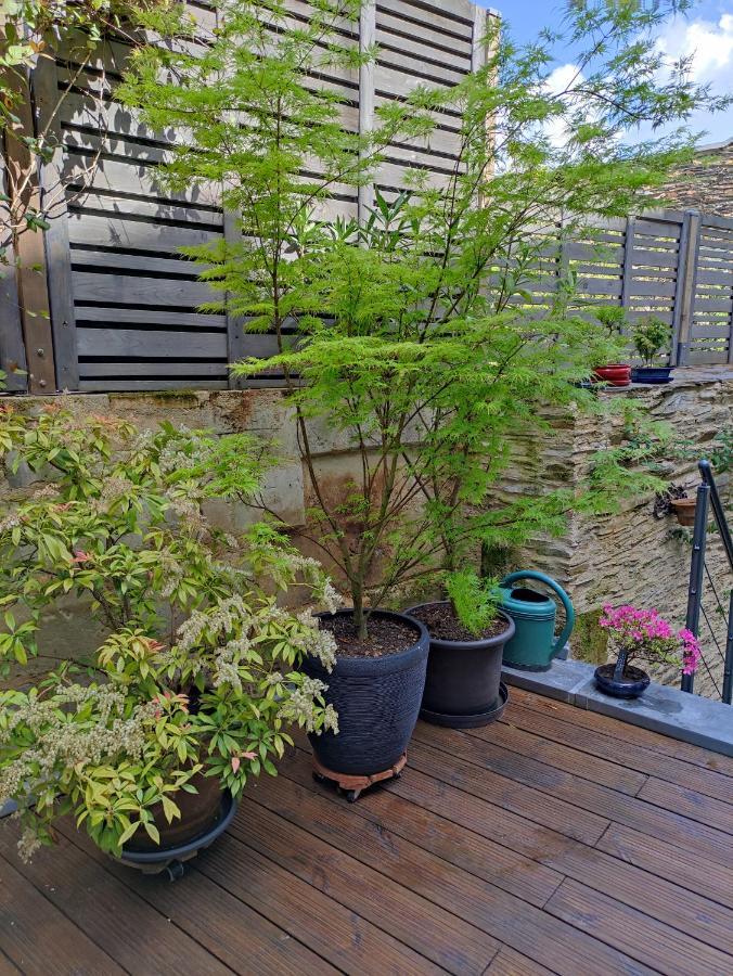 Le Beau Repaire, D'hotes, Quartier Historique, 1 A 3 Chambres, Etage Independant * Angers